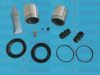 AUTOFREN SEINSA D41590C Repair Kit, brake caliper